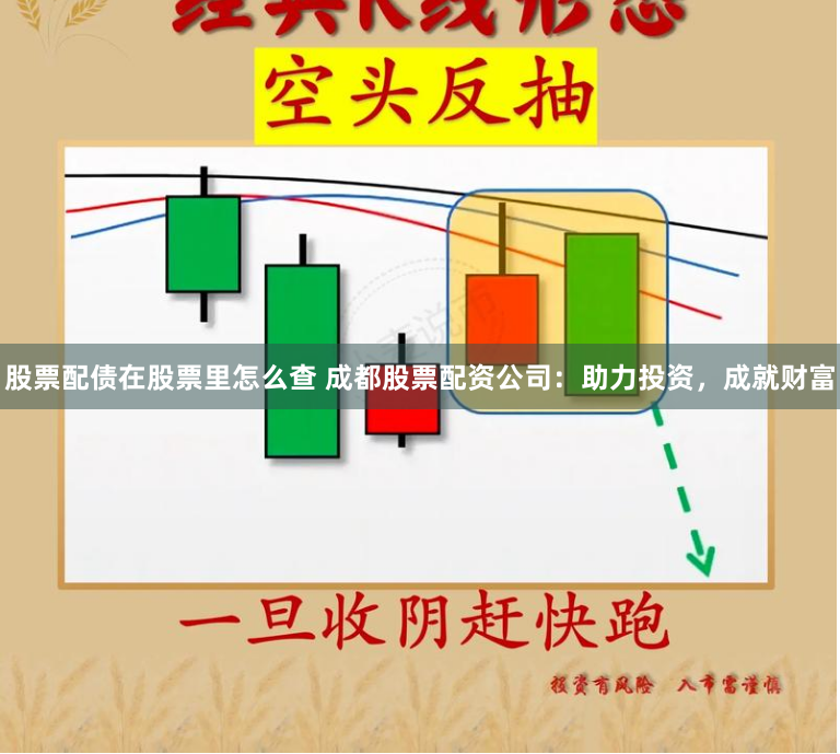 股票配债在股票里怎么查 成都股票配资公司：助力投资，成就财富